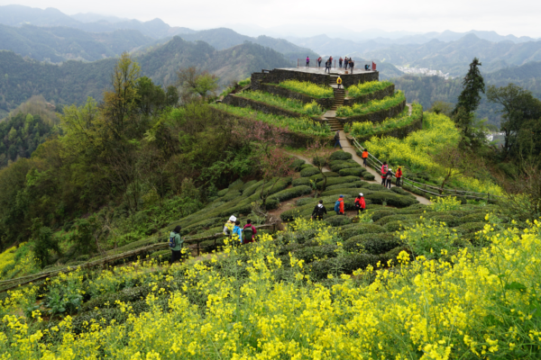 Huizhou Ruoling Ancient Trail & Blossom Expedition