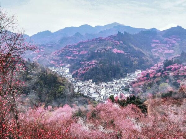 Huizhou Fish Lantern & Plum Blossom Trek